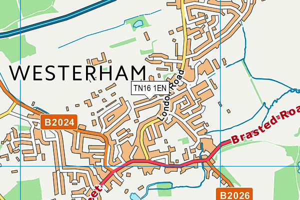 TN16 1EN map - OS VectorMap District (Ordnance Survey) TN16 1EN map - OS VectorMap District (Ordnance Survey)