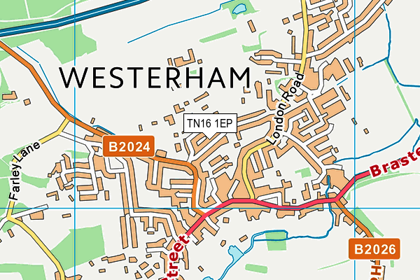 TN16 1EP map - OS VectorMap District (Ordnance Survey) TN16 1EP map - OS VectorMap District (Ordnance Survey)