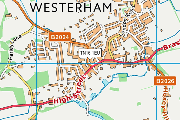 TN16 1EU map - OS VectorMap District (Ordnance Survey) TN16 1EU map - OS VectorMap District (Ordnance Survey)