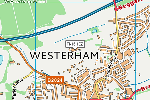 TN16 1EZ map - OS VectorMap District (Ordnance Survey) TN16 1EZ map - OS VectorMap District (Ordnance Survey)