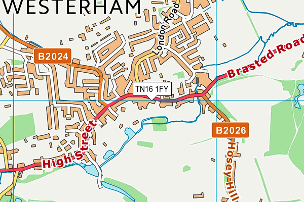 TN16 1FY map - OS VectorMap District (Ordnance Survey)
