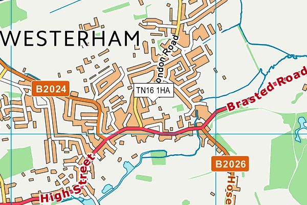 TN16 1HA map - OS VectorMap District (Ordnance Survey) TN16 1HA map - OS VectorMap District (Ordnance Survey)