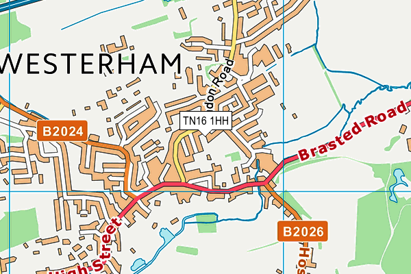 TN16 1HH map - OS VectorMap District (Ordnance Survey) TN16 1HH map - OS VectorMap District (Ordnance Survey)