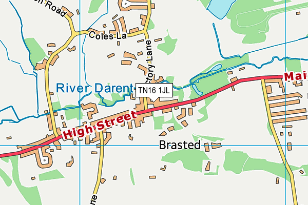 TN16 1JL map - OS VectorMap District (Ordnance Survey)