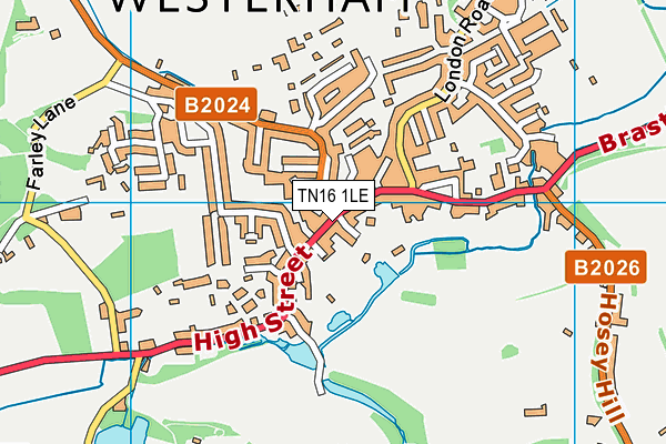 TN16 1LE map - OS VectorMap District (Ordnance Survey) TN16 1LE map - OS VectorMap District (Ordnance Survey)