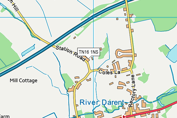 TN16 1NS map - OS VectorMap District (Ordnance Survey)