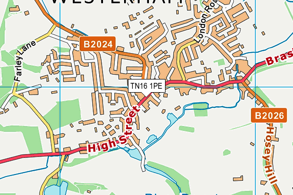 TN16 1PE map - OS VectorMap District (Ordnance Survey) TN16 1PE map - OS VectorMap District (Ordnance Survey)