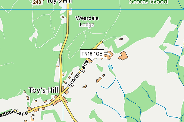 TN16 1QE map - OS VectorMap District (Ordnance Survey) TN16 1QE map - OS VectorMap District (Ordnance Survey)
