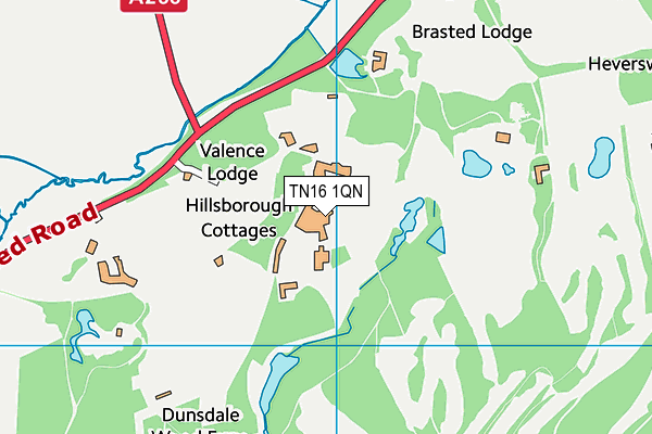 TN16 1QN map - OS VectorMap District (Ordnance Survey) TN16 1QN map - OS VectorMap District (Ordnance Survey)
