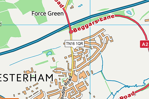 TN16 1QR map - OS VectorMap District (Ordnance Survey) TN16 1QR map - OS VectorMap District (Ordnance Survey)