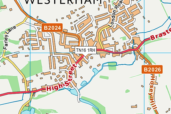TN16 1RH map - OS VectorMap District (Ordnance Survey) TN16 1RH map - OS VectorMap District (Ordnance Survey)