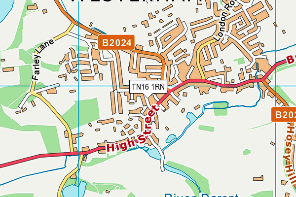 TN16 1RN map - OS VectorMap District (Ordnance Survey) TN16 1RN map - OS VectorMap District (Ordnance Survey)