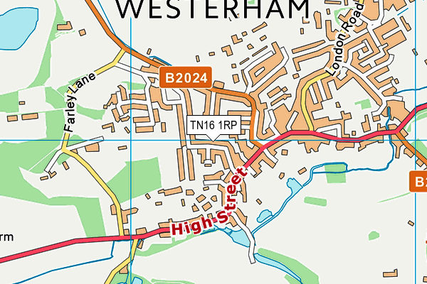 TN16 1RP map - OS VectorMap District (Ordnance Survey)