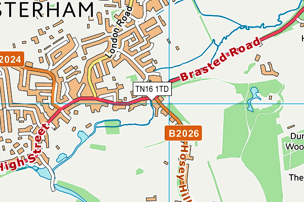 TN16 1TD map - OS VectorMap District (Ordnance Survey) TN16 1TD map - OS VectorMap District (Ordnance Survey)