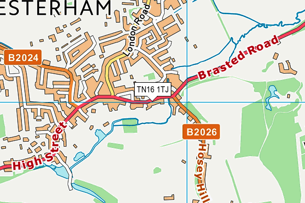 TN16 1TJ map - OS VectorMap District (Ordnance Survey)