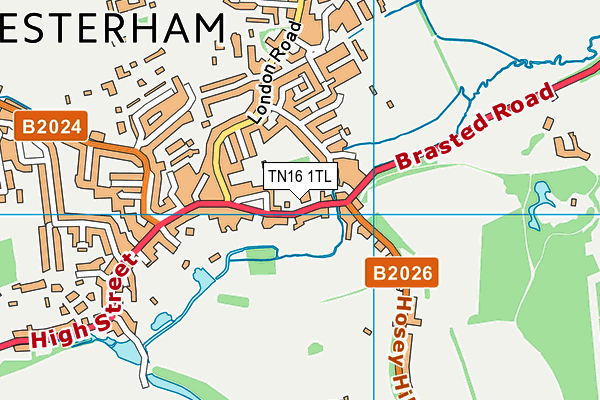 TN16 1TL map - OS VectorMap District (Ordnance Survey) TN16 1TL map - OS VectorMap District (Ordnance Survey)