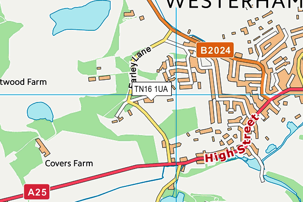 TN16 1UA map - OS VectorMap District (Ordnance Survey) TN16 1UA map - OS VectorMap District (Ordnance Survey)