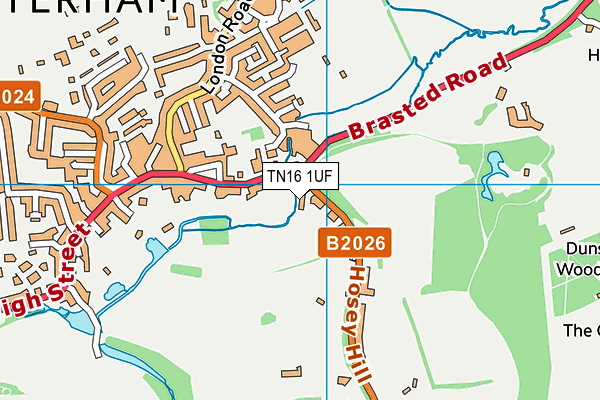 TN16 1UF map - OS VectorMap District (Ordnance Survey)