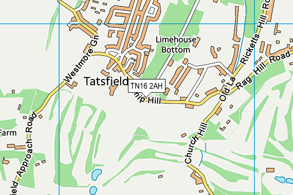 TN16 2AH map - OS VectorMap District (Ordnance Survey) TN16 2AH map - OS VectorMap District (Ordnance Survey)