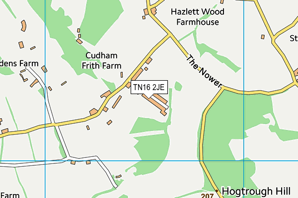 TN16 2JE map - OS VectorMap District (Ordnance Survey)