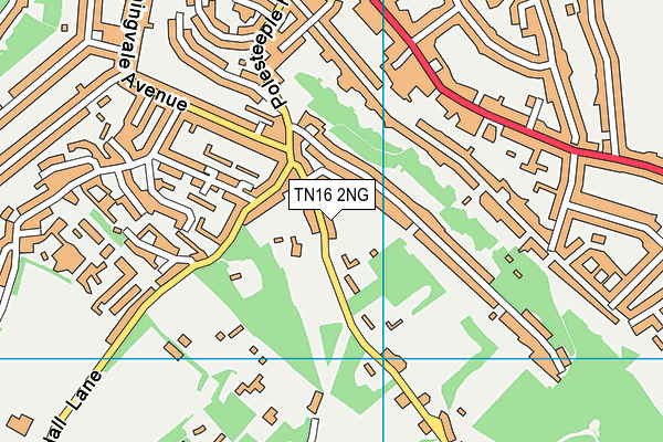 TN16 2NG map - OS VectorMap District (Ordnance Survey) TN16 2NG map - OS VectorMap District (Ordnance Survey)