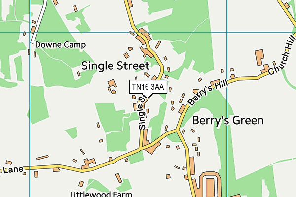 TN16 3AA map - OS VectorMap District (Ordnance Survey) TN16 3AA map - OS VectorMap District (Ordnance Survey)