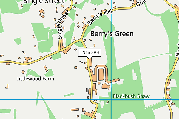 TN16 3AH map - OS VectorMap District (Ordnance Survey) TN16 3AH map - OS VectorMap District (Ordnance Survey)