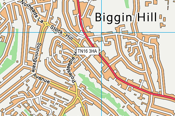 TN16 3HA map - OS VectorMap District (Ordnance Survey) TN16 3HA map - OS VectorMap District (Ordnance Survey)