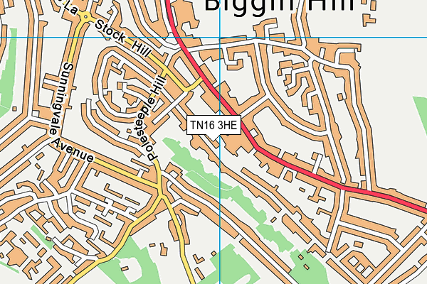 TN16 3HE map - OS VectorMap District (Ordnance Survey)