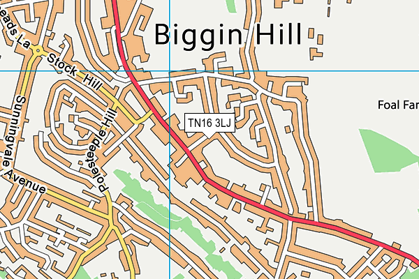 TN16 3LJ map - OS VectorMap District (Ordnance Survey) TN16 3LJ map - OS VectorMap District (Ordnance Survey)