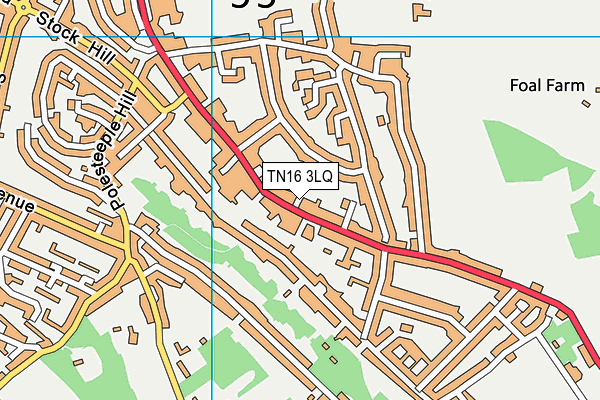 TN16 3LQ map - OS VectorMap District (Ordnance Survey) TN16 3LQ map - OS VectorMap District (Ordnance Survey)