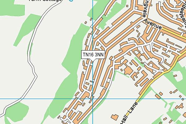 TN16 3NN map - OS VectorMap District (Ordnance Survey) TN16 3NN map - OS VectorMap District (Ordnance Survey)