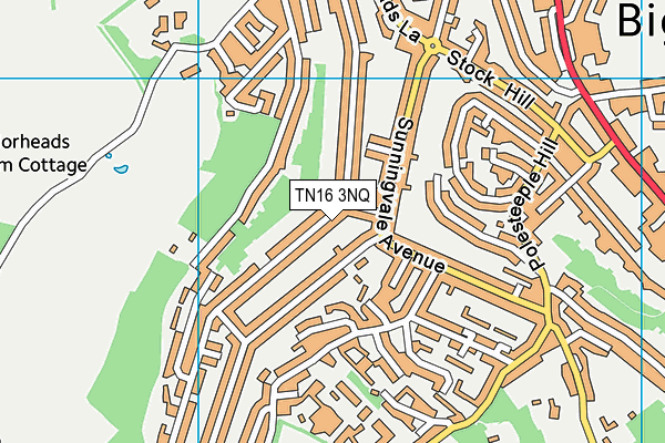 TN16 3NQ map - OS VectorMap District (Ordnance Survey) TN16 3NQ map - OS VectorMap District (Ordnance Survey)