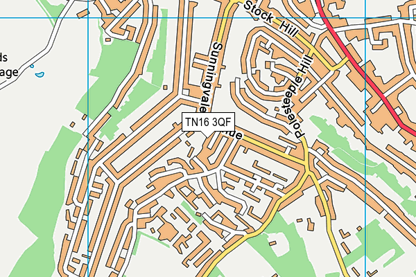 TN16 3QF map - OS VectorMap District (Ordnance Survey) TN16 3QF map - OS VectorMap District (Ordnance Survey)