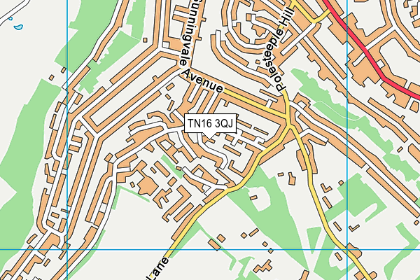 TN16 3QJ map - OS VectorMap District (Ordnance Survey) TN16 3QJ map - OS VectorMap District (Ordnance Survey)