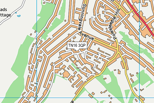 TN16 3QP map - OS VectorMap District (Ordnance Survey) TN16 3QP map - OS VectorMap District (Ordnance Survey)