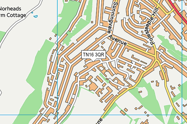 TN16 3QR map - OS VectorMap District (Ordnance Survey) TN16 3QR map - OS VectorMap District (Ordnance Survey)