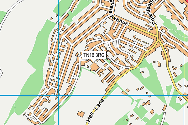 TN16 3RG map - OS VectorMap District (Ordnance Survey) TN16 3RG map - OS VectorMap District (Ordnance Survey)