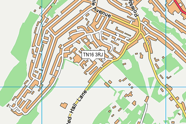 TN16 3RJ map - OS VectorMap District (Ordnance Survey) TN16 3RJ map - OS VectorMap District (Ordnance Survey)