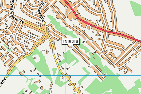 TN16 3TB map - OS VectorMap District (Ordnance Survey) TN16 3TB map - OS VectorMap District (Ordnance Survey)