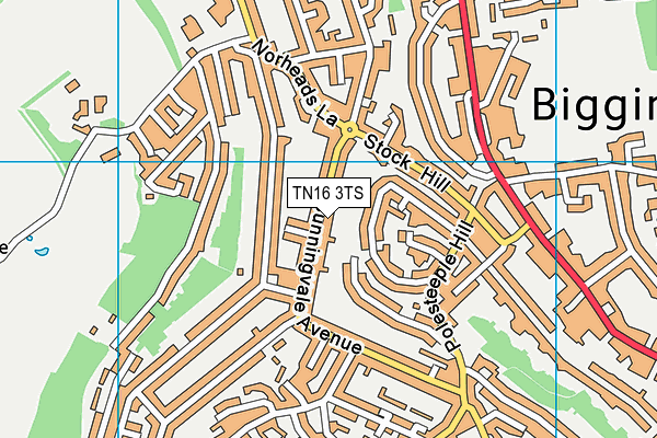 TN16 3TS map - OS VectorMap District (Ordnance Survey) TN16 3TS map - OS VectorMap District (Ordnance Survey)