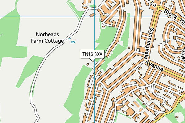 TN16 3XA map - OS VectorMap District (Ordnance Survey) TN16 3XA map - OS VectorMap District (Ordnance Survey)