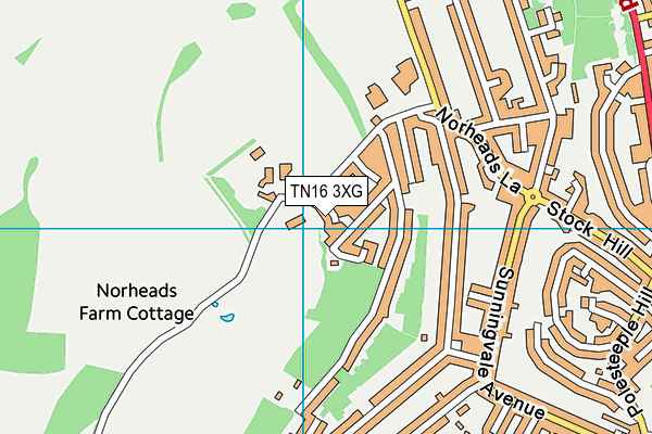 TN16 3XG map - OS VectorMap District (Ordnance Survey) TN16 3XG map - OS VectorMap District (Ordnance Survey)