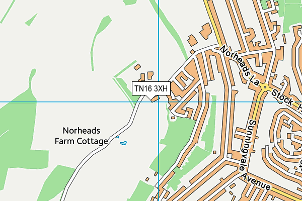 TN16 3XH map - OS VectorMap District (Ordnance Survey) TN16 3XH map - OS VectorMap District (Ordnance Survey)