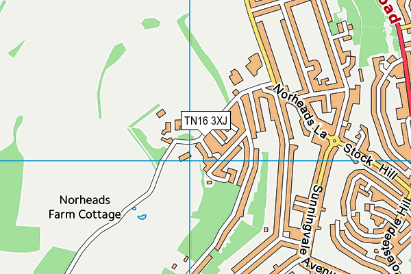 TN16 3XJ map - OS VectorMap District (Ordnance Survey) TN16 3XJ map - OS VectorMap District (Ordnance Survey)