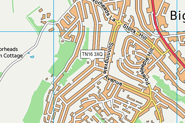 TN16 3XQ map - OS VectorMap District (Ordnance Survey) TN16 3XQ map - OS VectorMap District (Ordnance Survey)