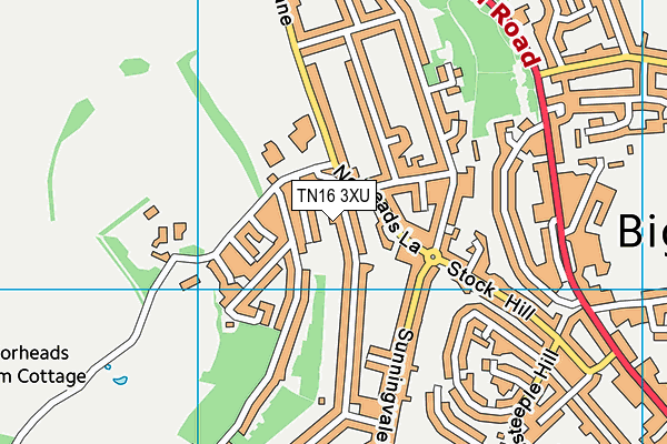 TN16 3XU map - OS VectorMap District (Ordnance Survey)