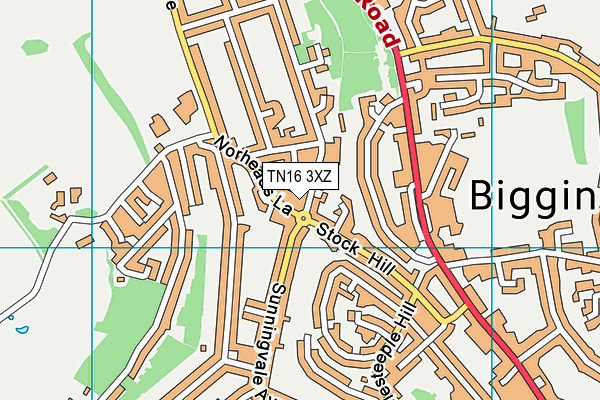 TN16 3XZ map - OS VectorMap District (Ordnance Survey) TN16 3XZ map - OS VectorMap District (Ordnance Survey)