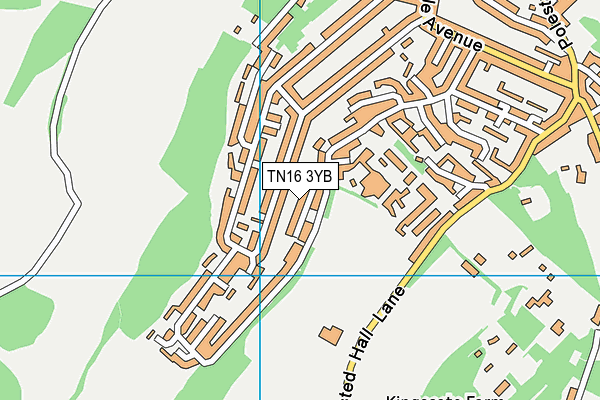 TN16 3YB map - OS VectorMap District (Ordnance Survey) TN16 3YB map - OS VectorMap District (Ordnance Survey)