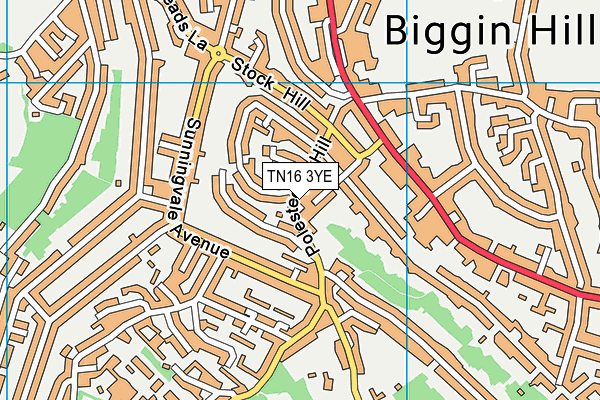 TN16 3YE map - OS VectorMap District (Ordnance Survey) TN16 3YE map - OS VectorMap District (Ordnance Survey)